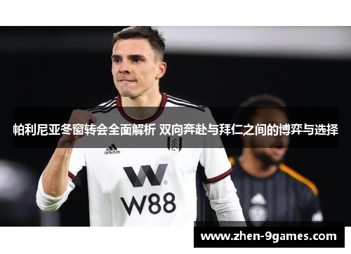 帕利尼亚冬窗转会全面解析 双向奔赴与拜仁之间的博弈与选择